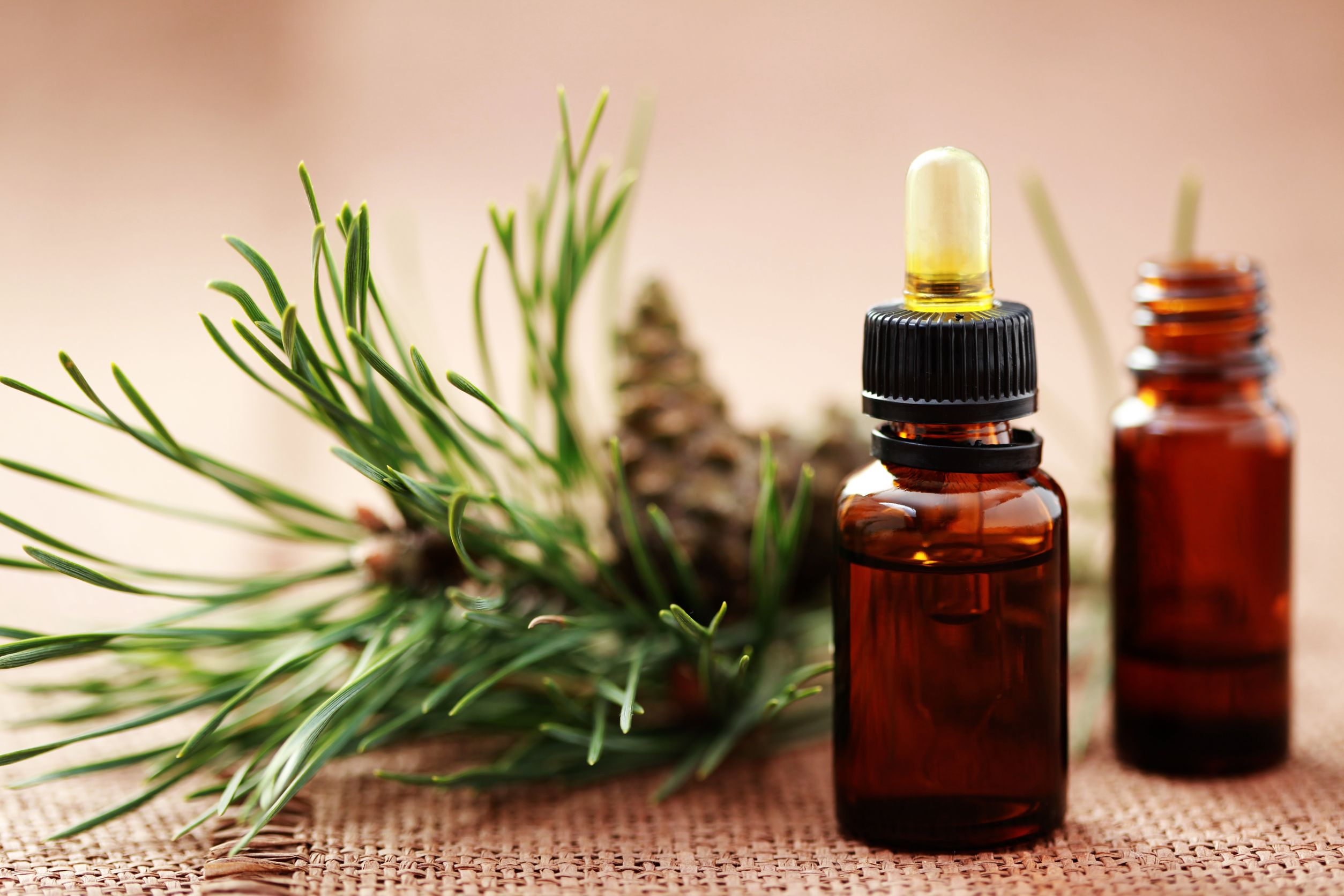 Aceite esencial de pino