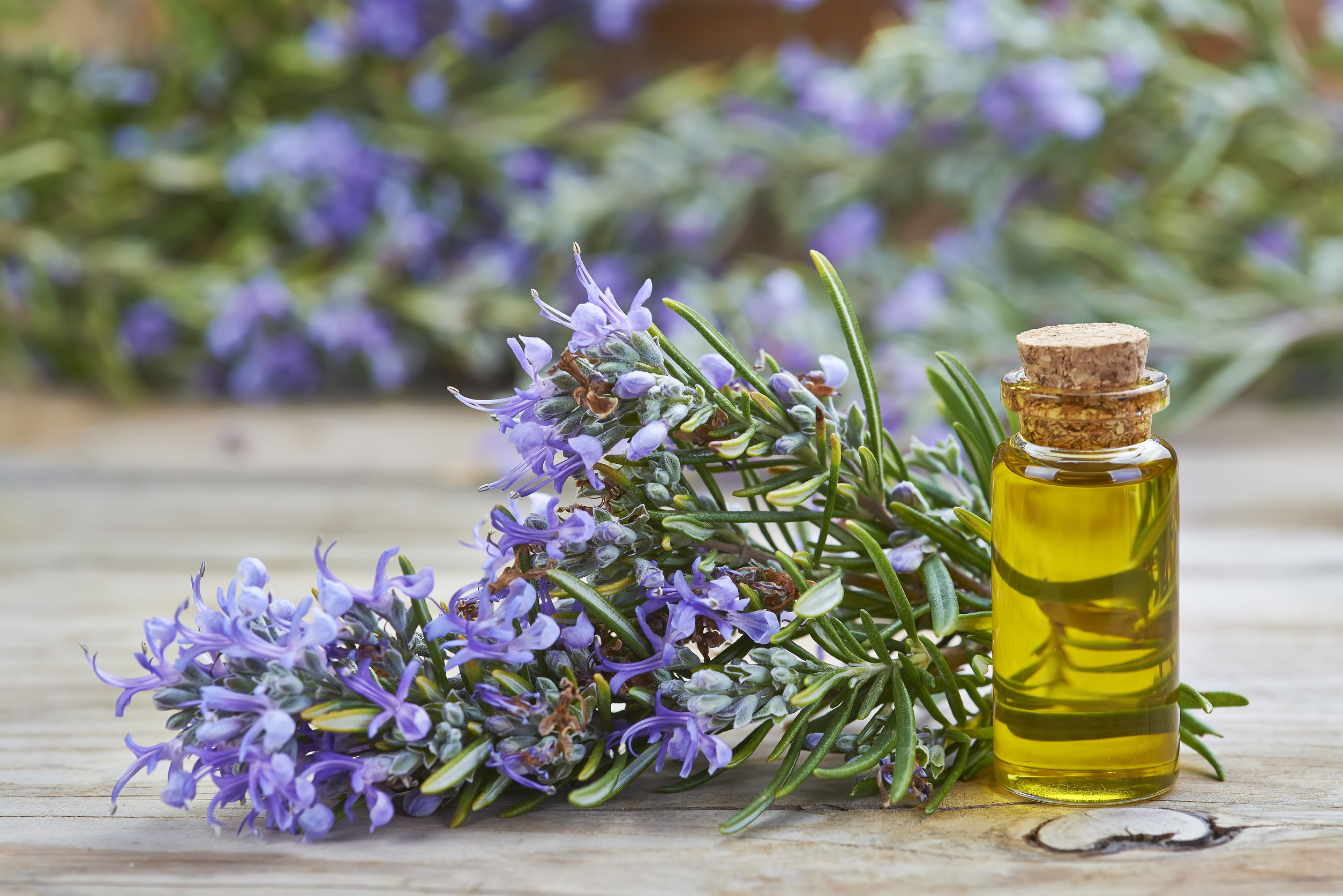 Aceite esencial de Romero